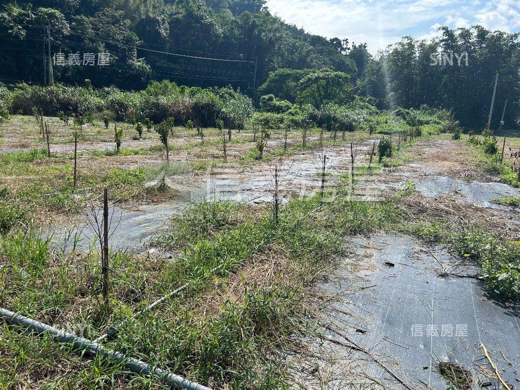 竹山鯉南路有水有電美地Ｂ房屋室內格局與周邊環境