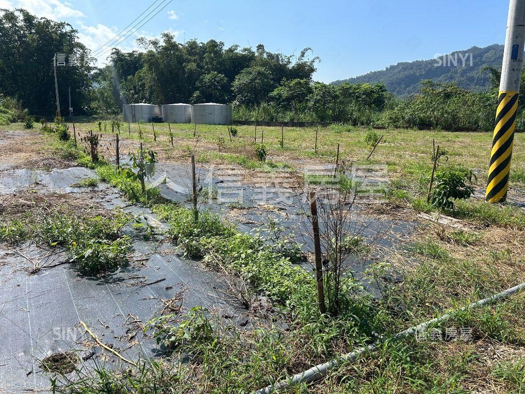 竹山鯉南路有水有電美地Ｂ房屋室內格局與周邊環境