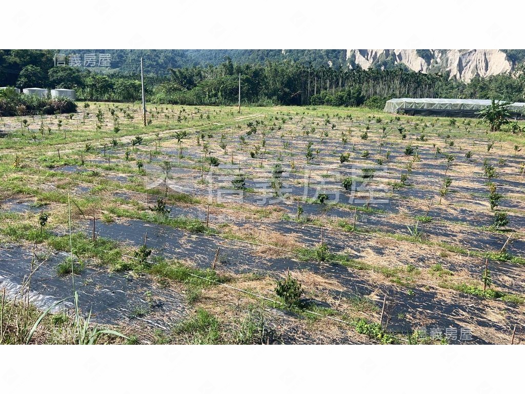 竹山鯉南路有水有電美地Ｂ房屋室內格局與周邊環境