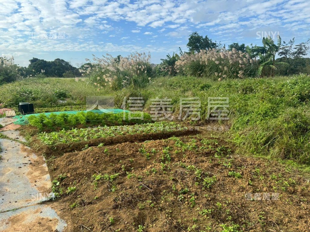 下圭柔山段二期徵收約１６房屋室內格局與周邊環境