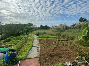 下圭柔山段二期徵收約１６