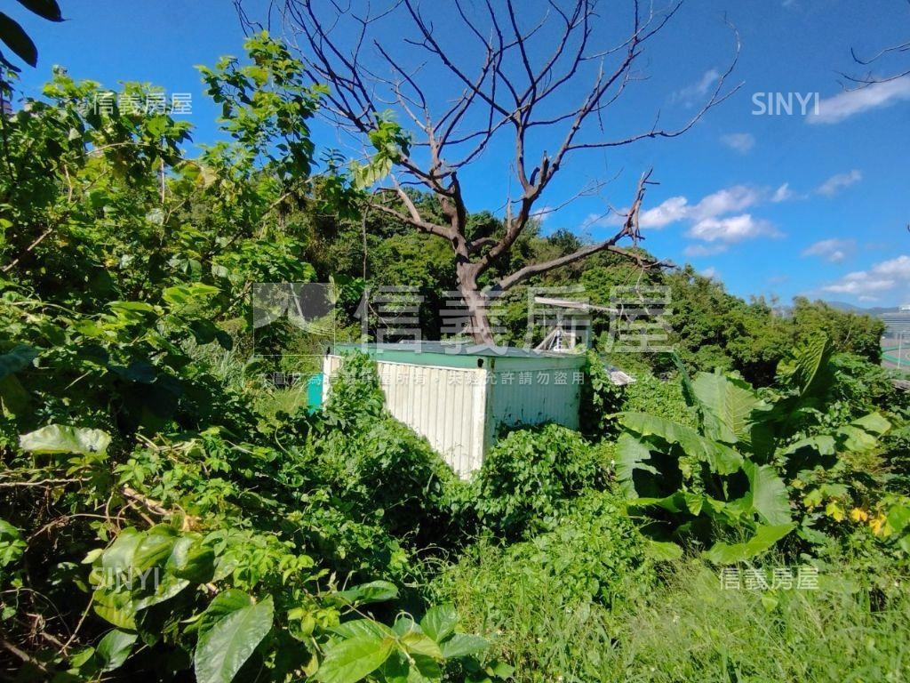 國興街３０巷潛力土地房屋室內格局與周邊環境