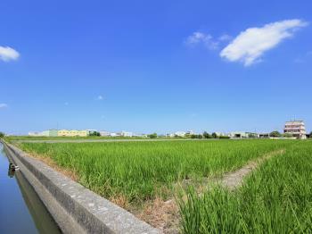 大坪數農地直接來談