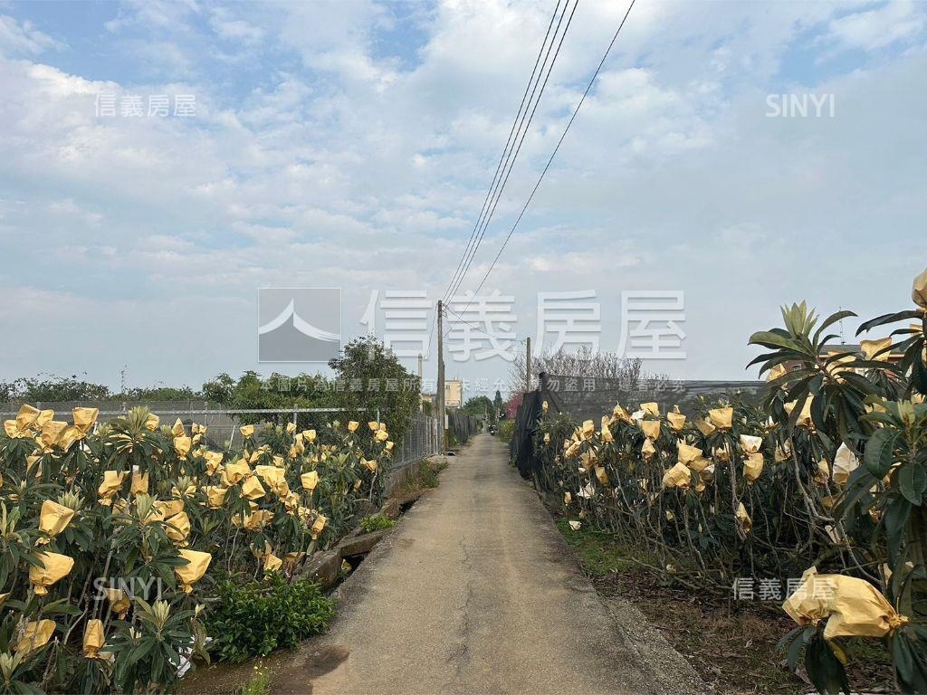 新社低總價農地房屋室內格局與周邊環境