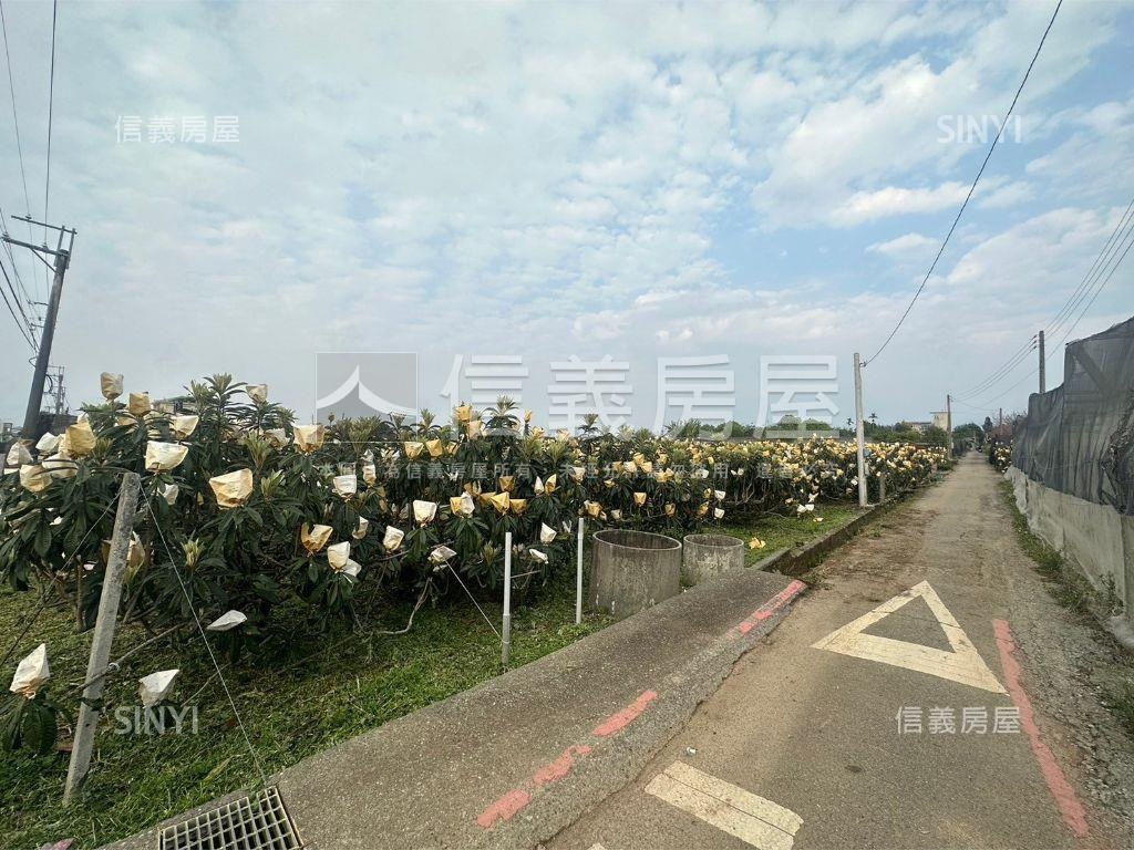 新社低總價農地房屋室內格局與周邊環境