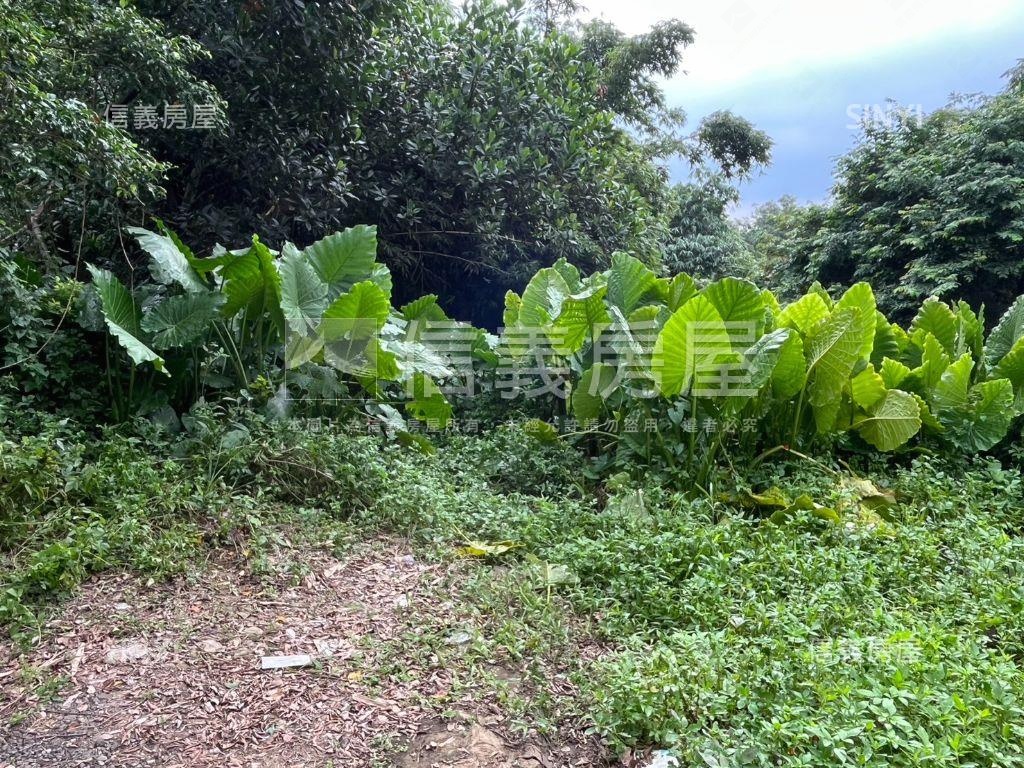 龜山大同段０７６１持分地房屋室內格局與周邊環境