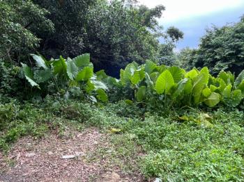 龜山大同段０７６１持分地