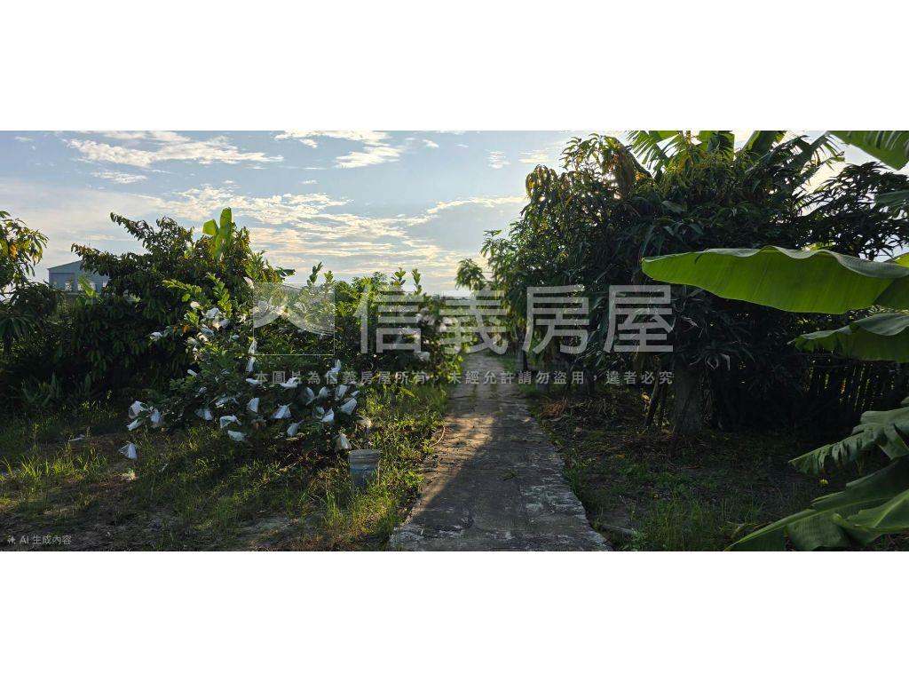 近南興國小約１分２農地房屋室內格局與周邊環境
