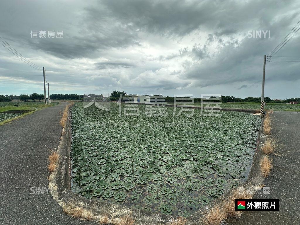 官田葫蘆埤旁土地房屋室內格局與周邊環境