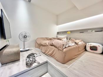 獨家帝國精美裝潢明廳兩房