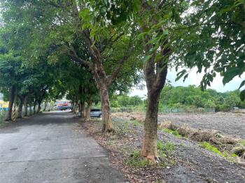 安農溪７８６坪土地