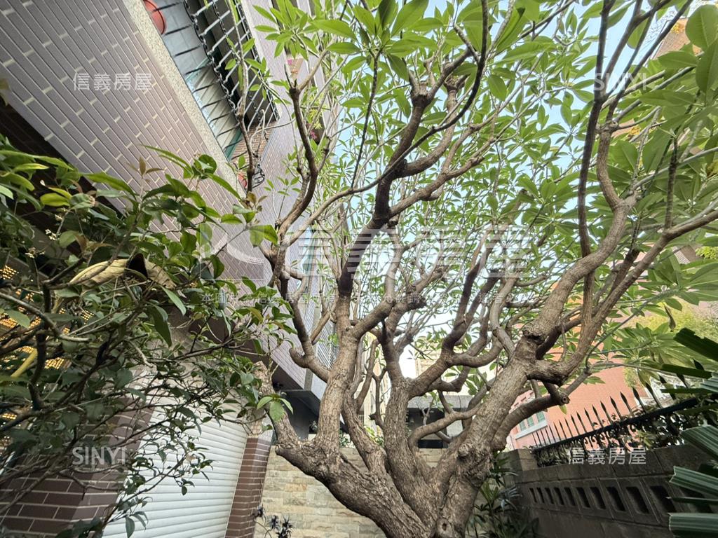 美術館✦獨棟震後電梯別墅房屋室內格局與周邊環境