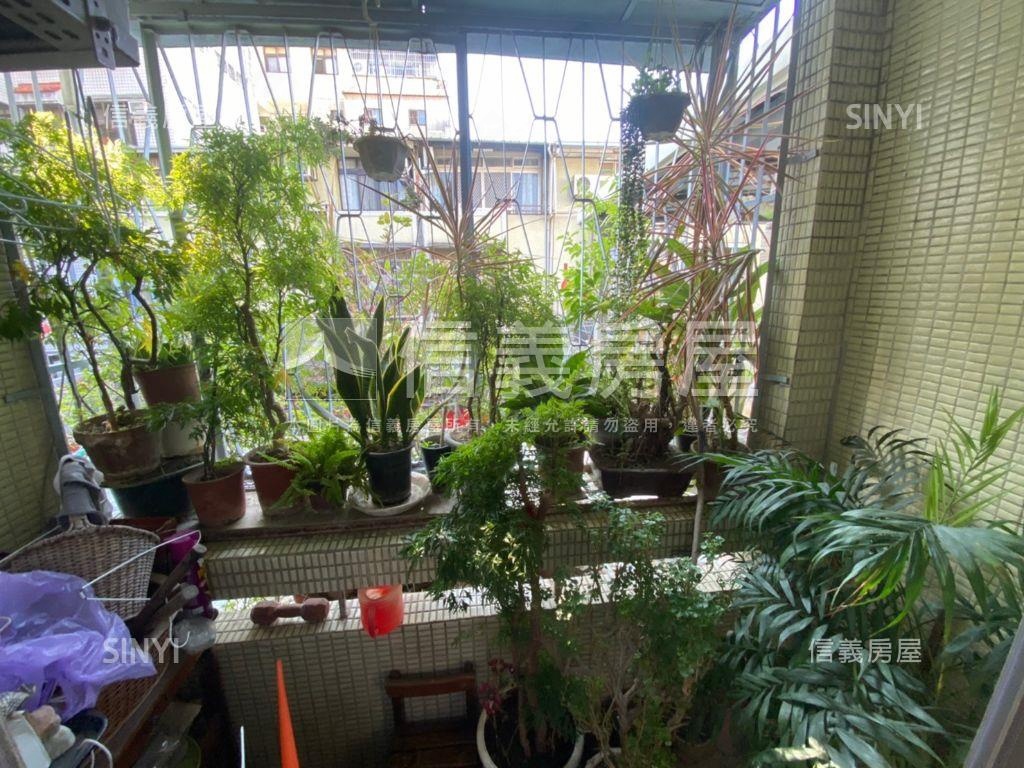 科博館植物園自有庭院透天房屋室內格局與周邊環境