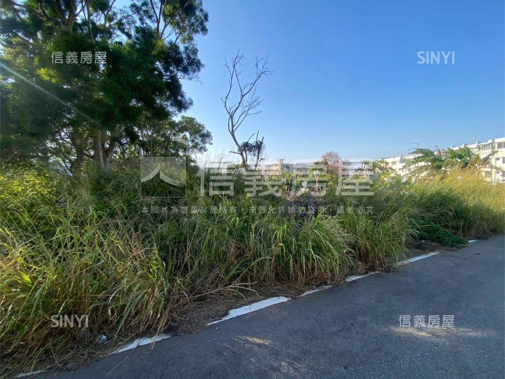 龍社二街大面積土地房屋室內格局與周邊環境
