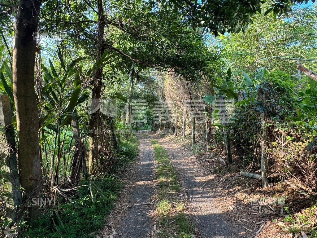 陽明山復臨美巷旁土地房屋室內格局與周邊環境