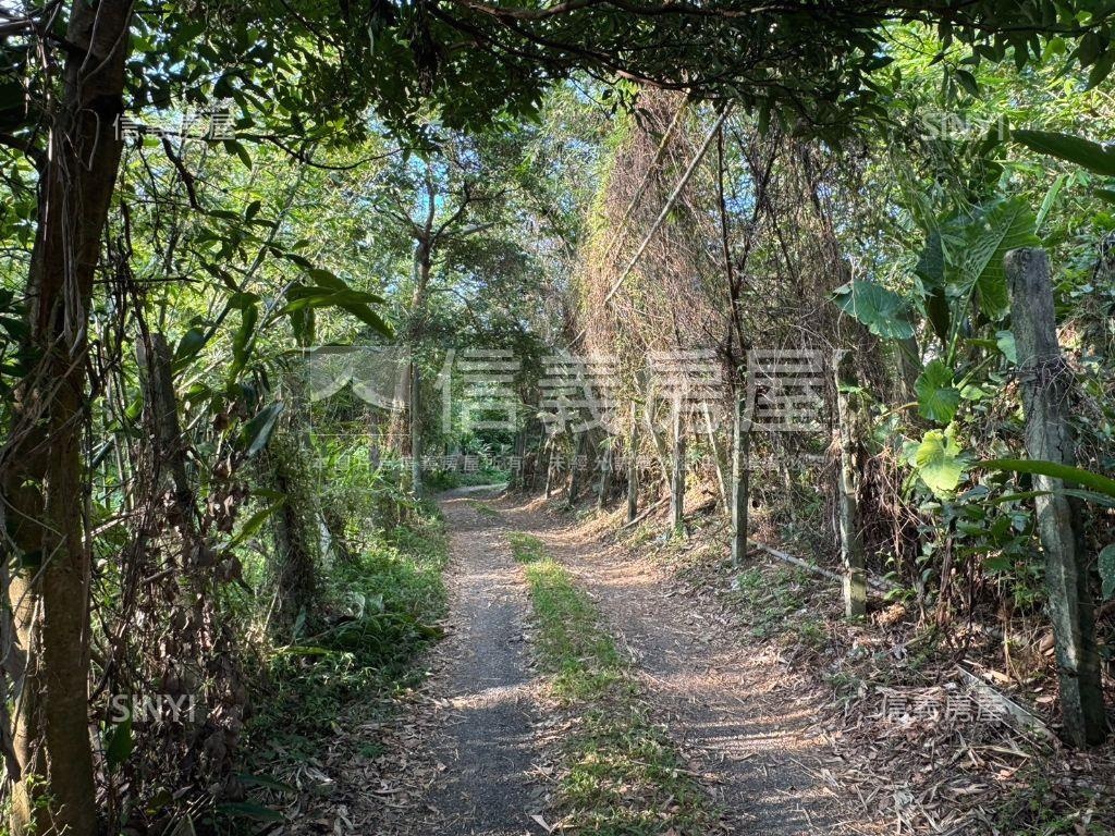 陽明山復臨美巷旁土地房屋室內格局與周邊環境