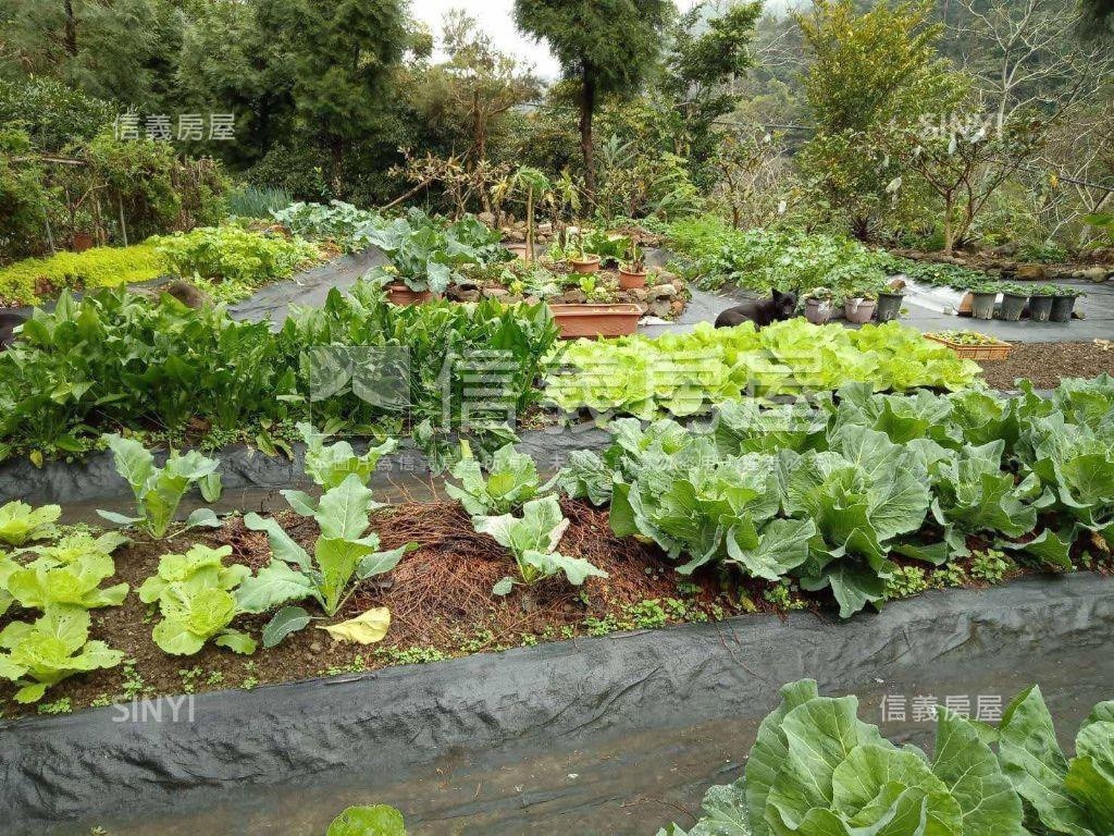 苗栗獅潭鄉休閒綠意土地房屋室內格局與周邊環境