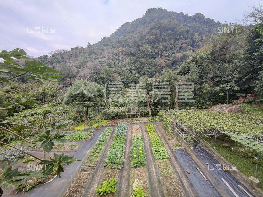 苗栗獅潭鄉休閒綠意土地房屋室內格局與周邊環境