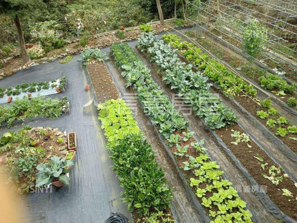 苗栗獅潭鄉休閒綠意土地房屋室內格局與周邊環境