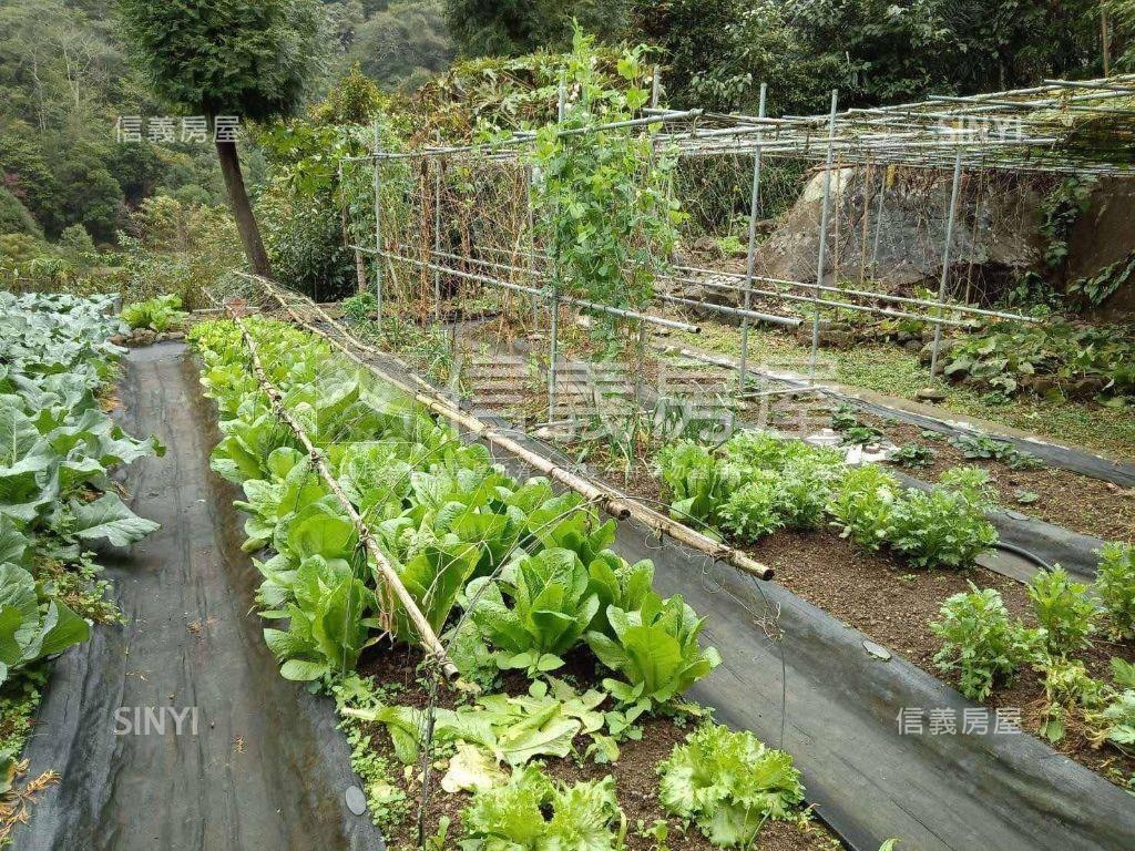 苗栗獅潭鄉休閒綠意土地房屋室內格局與周邊環境