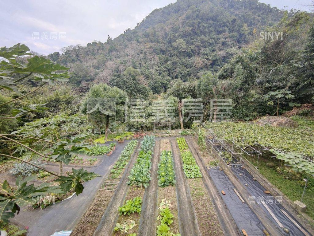 苗栗獅潭鄉休閒綠意土地房屋室內格局與周邊環境