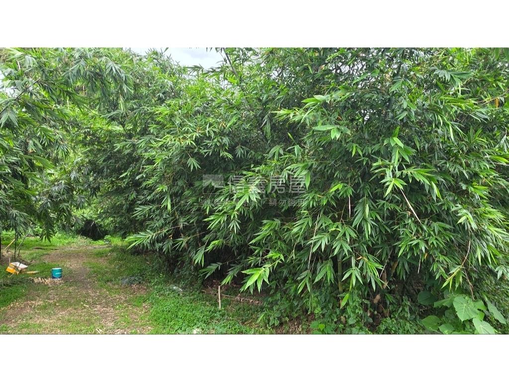 歸仁方正漂亮農地房屋室內格局與周邊環境