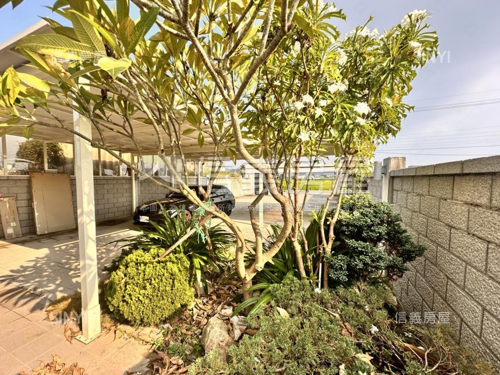 南投開心農場庭院花園農舍房屋室內格局與周邊環境