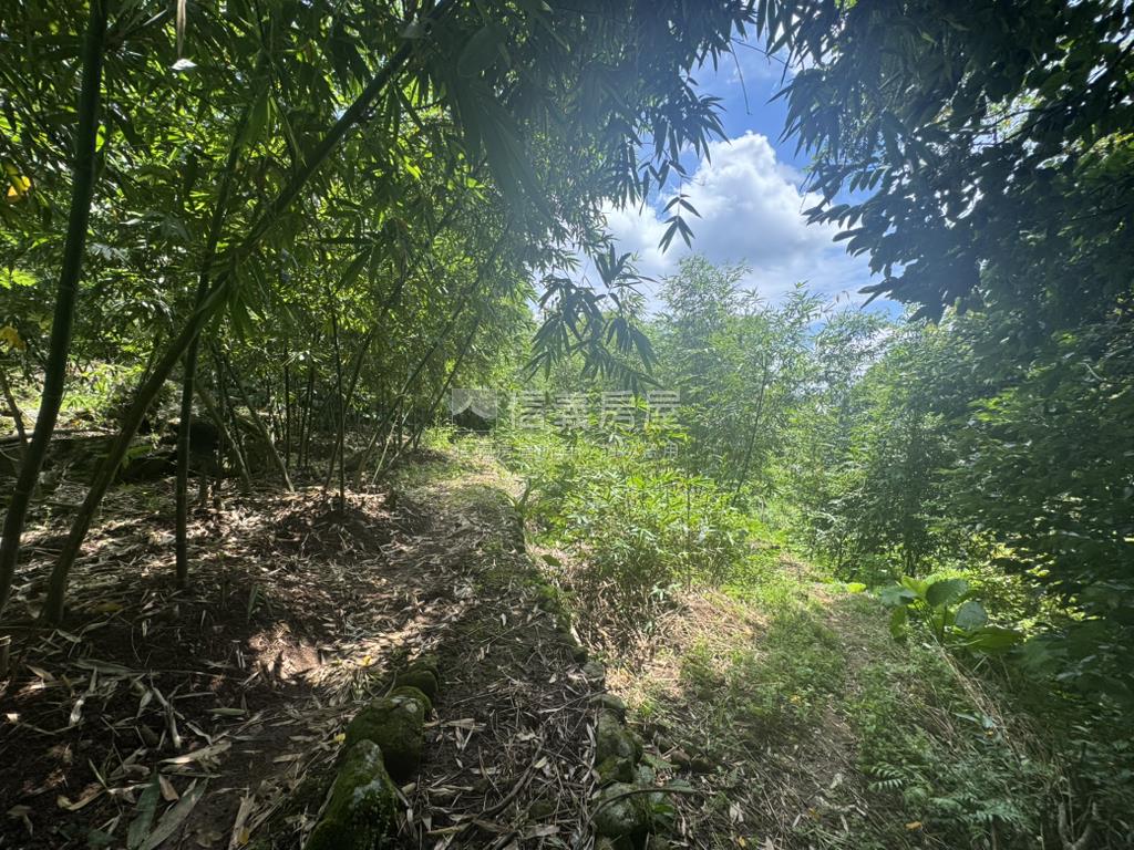 永公路開心農場房屋室內格局與周邊環境