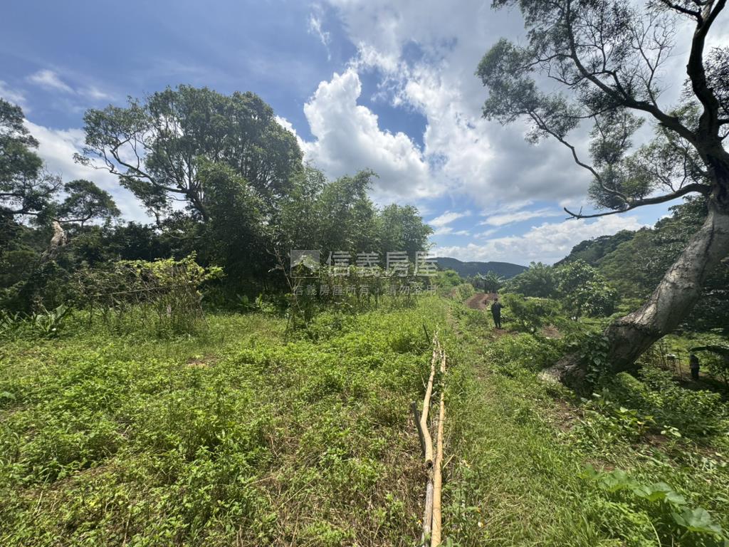 永公路開心農場房屋室內格局與周邊環境