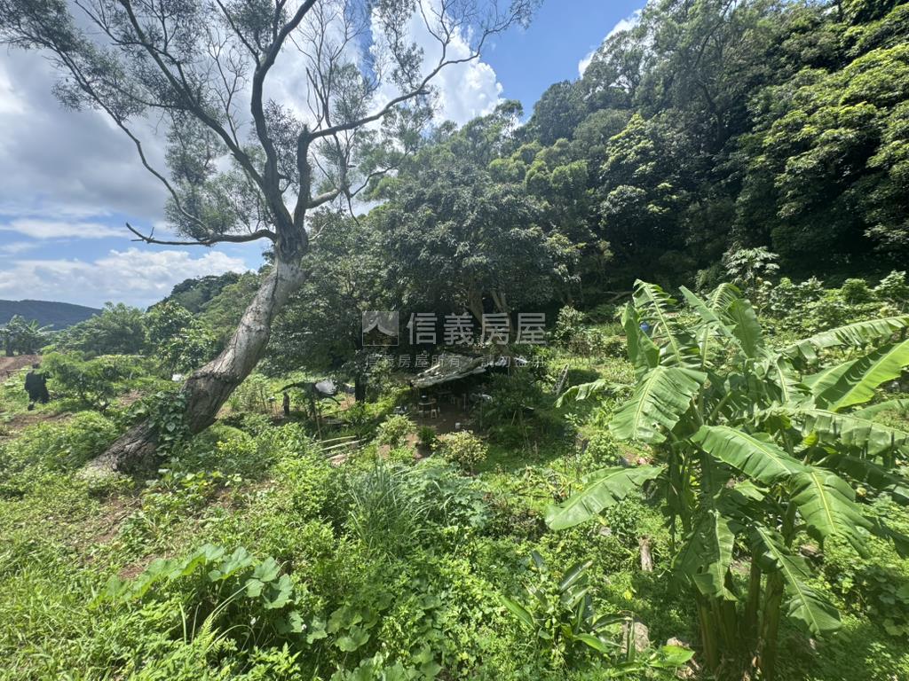 永公路開心農場房屋室內格局與周邊環境