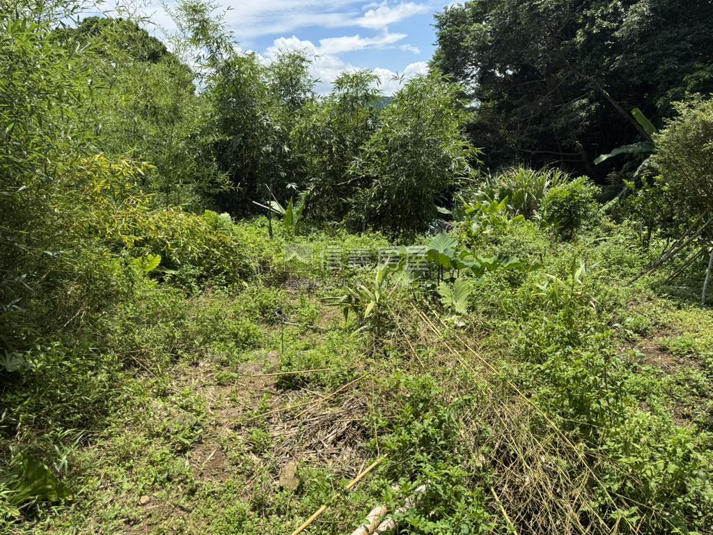 永公路開心農場房屋室內格局與周邊環境