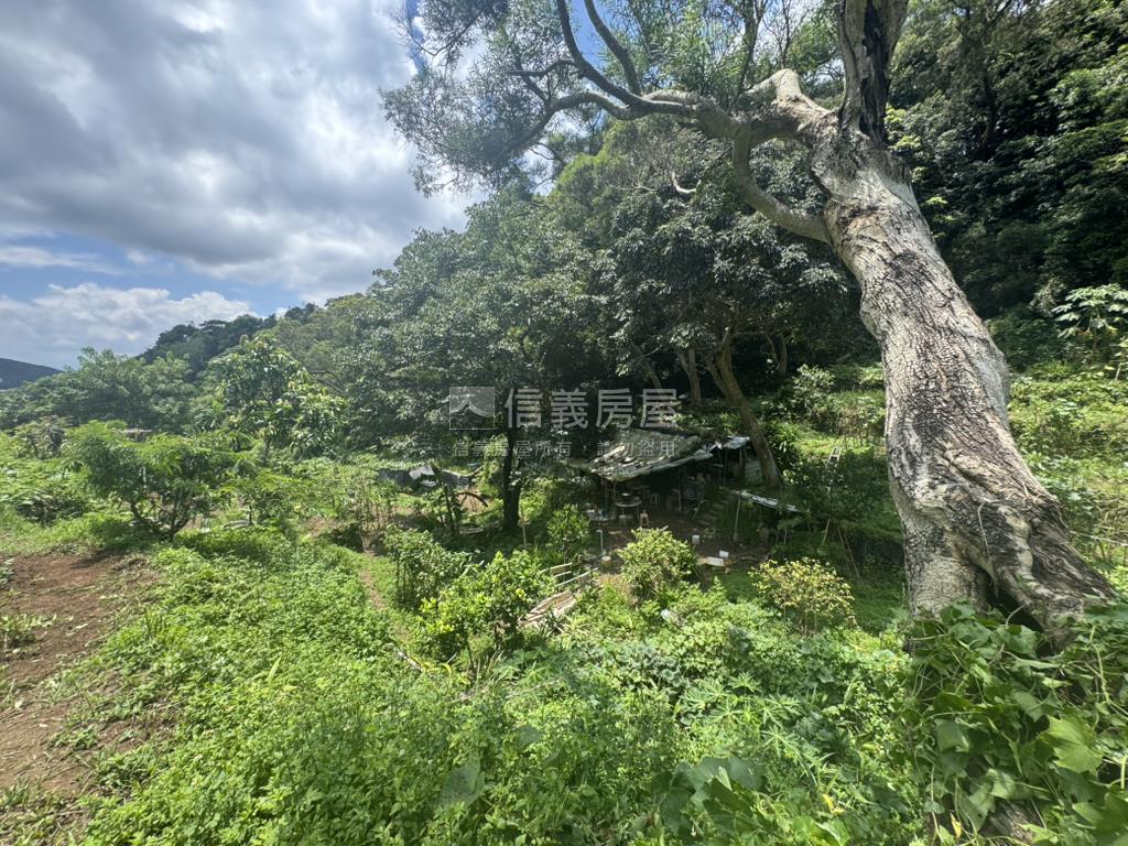 永公路開心農場房屋室內格局與周邊環境