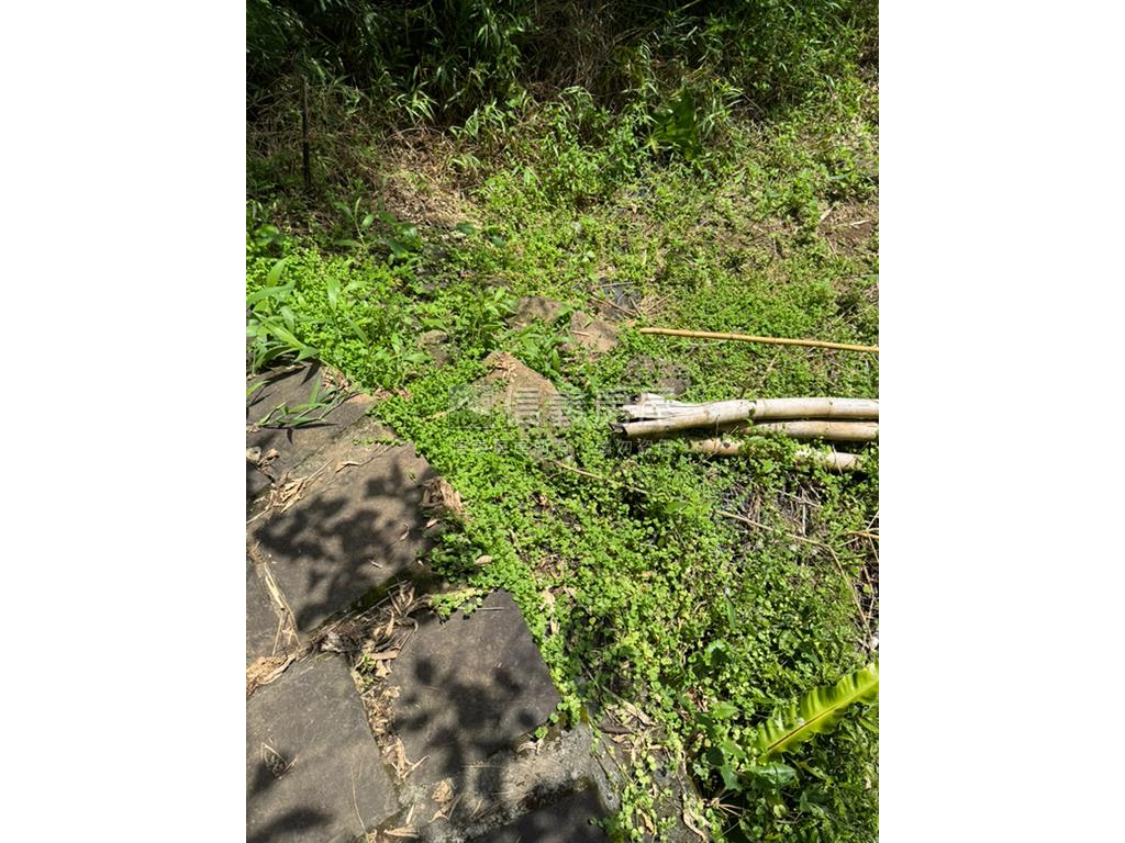 永公路開心農場房屋室內格局與周邊環境