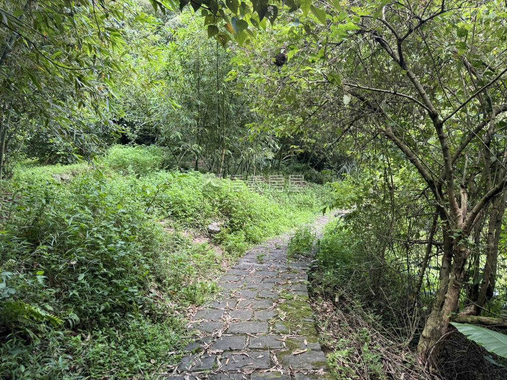 永公路開心農場房屋室內格局與周邊環境
