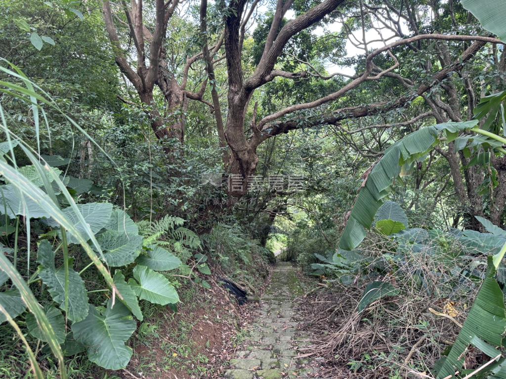 永公路開心農場房屋室內格局與周邊環境