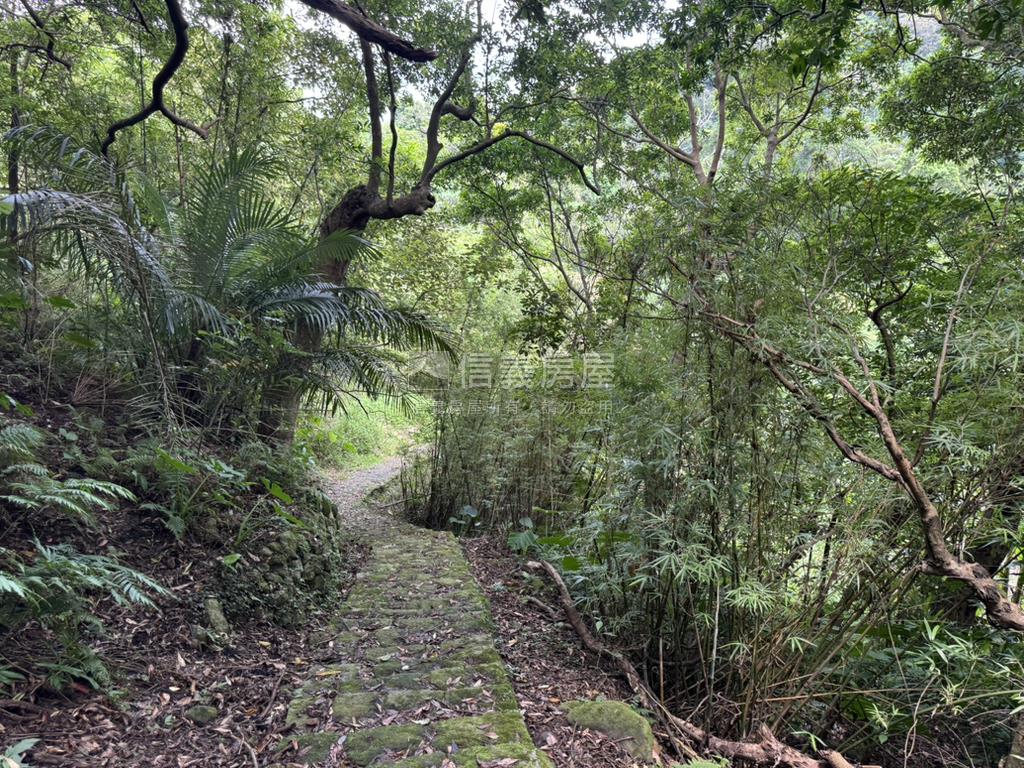 永公路開心農場房屋室內格局與周邊環境