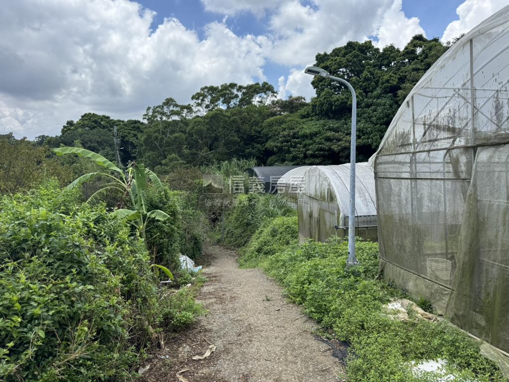 永公路開心農場房屋室內格局與周邊環境