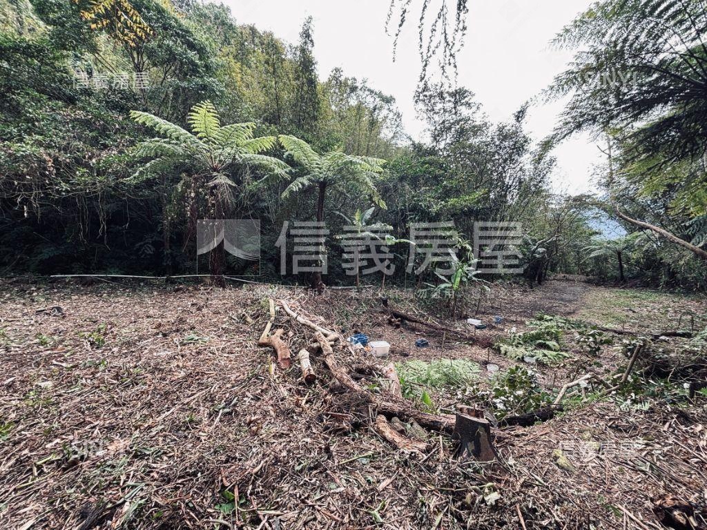 大溪都計內土地參房屋室內格局與周邊環境