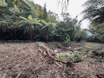 大溪都計內土地參