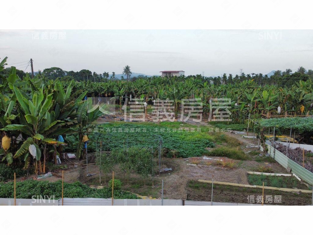 旗山好規劃甲建房屋室內格局與周邊環境