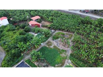 旗山好規劃甲建