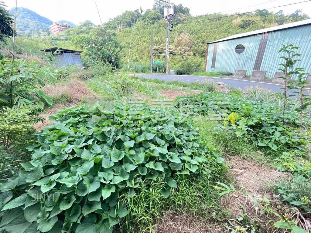 大大的花園裡挖啊挖啊挖～房屋室內格局與周邊環境