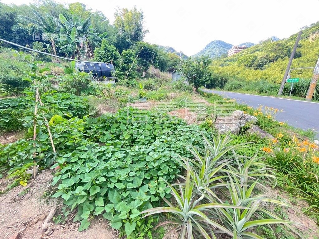 大大的花園裡挖啊挖啊挖～房屋室內格局與周邊環境