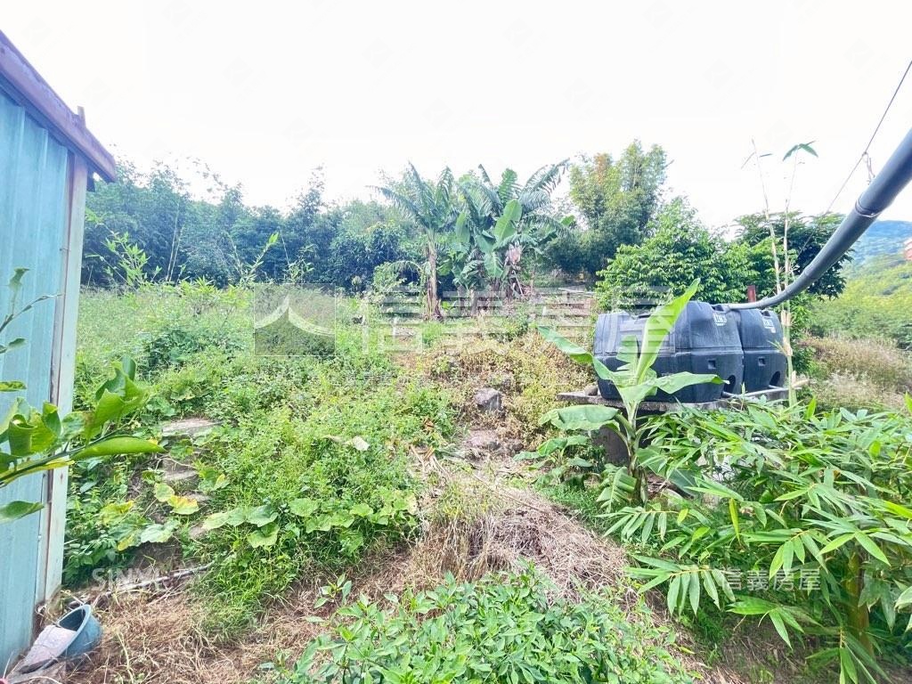 大大的花園裡挖啊挖啊挖～房屋室內格局與周邊環境