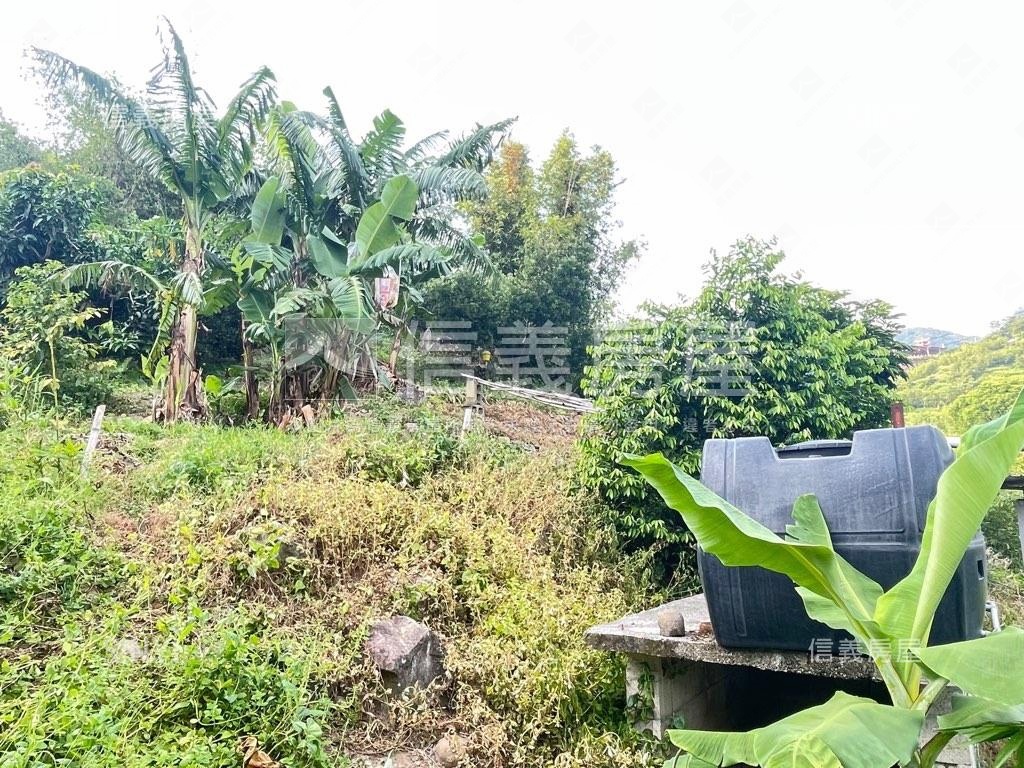 大大的花園裡挖啊挖啊挖～房屋室內格局與周邊環境