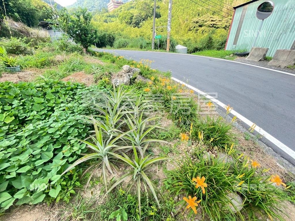 大大的花園裡挖啊挖啊挖～房屋室內格局與周邊環境