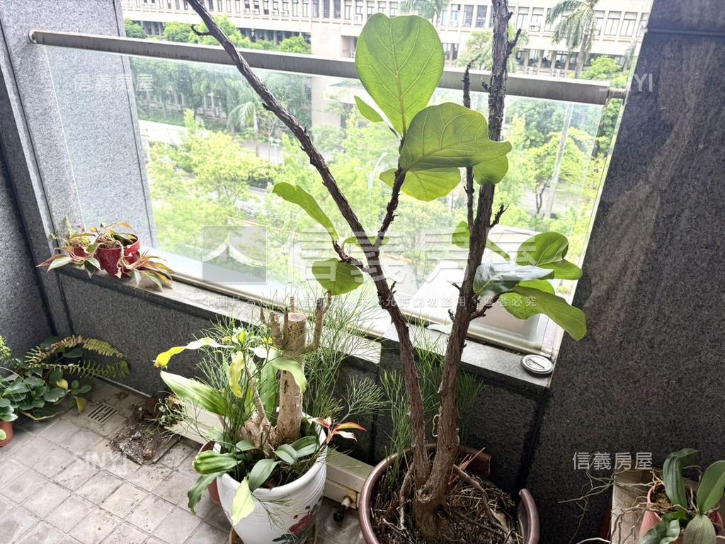 信義翡麗前棟綠景小豪宅房屋室內格局與周邊環境