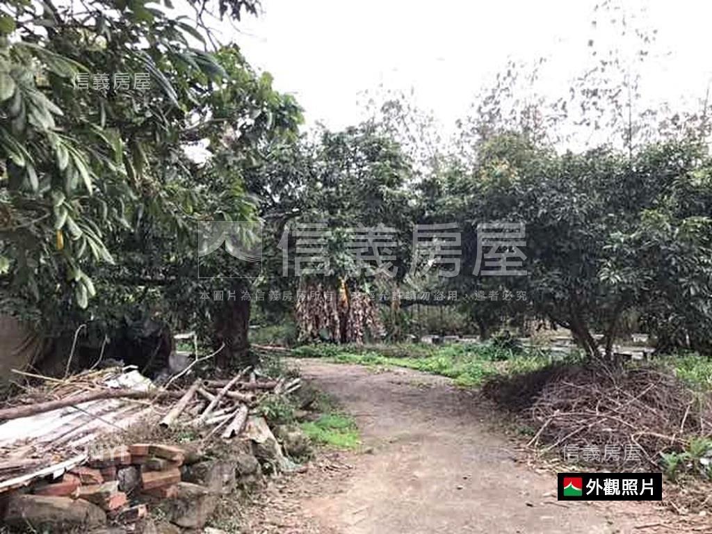 新～台南白河土地出售房屋室內格局與周邊環境