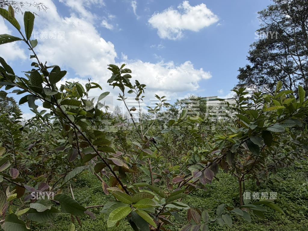 近落羽松路開心小農場房屋室內格局與周邊環境