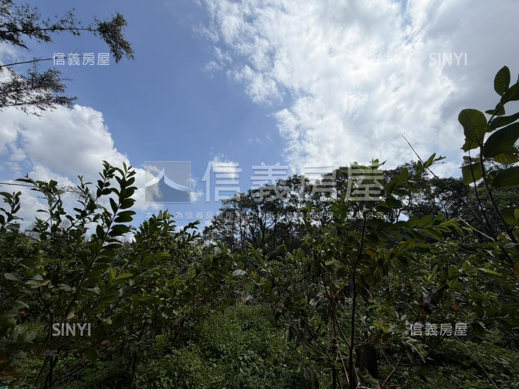 近落羽松路開心小農場房屋室內格局與周邊環境